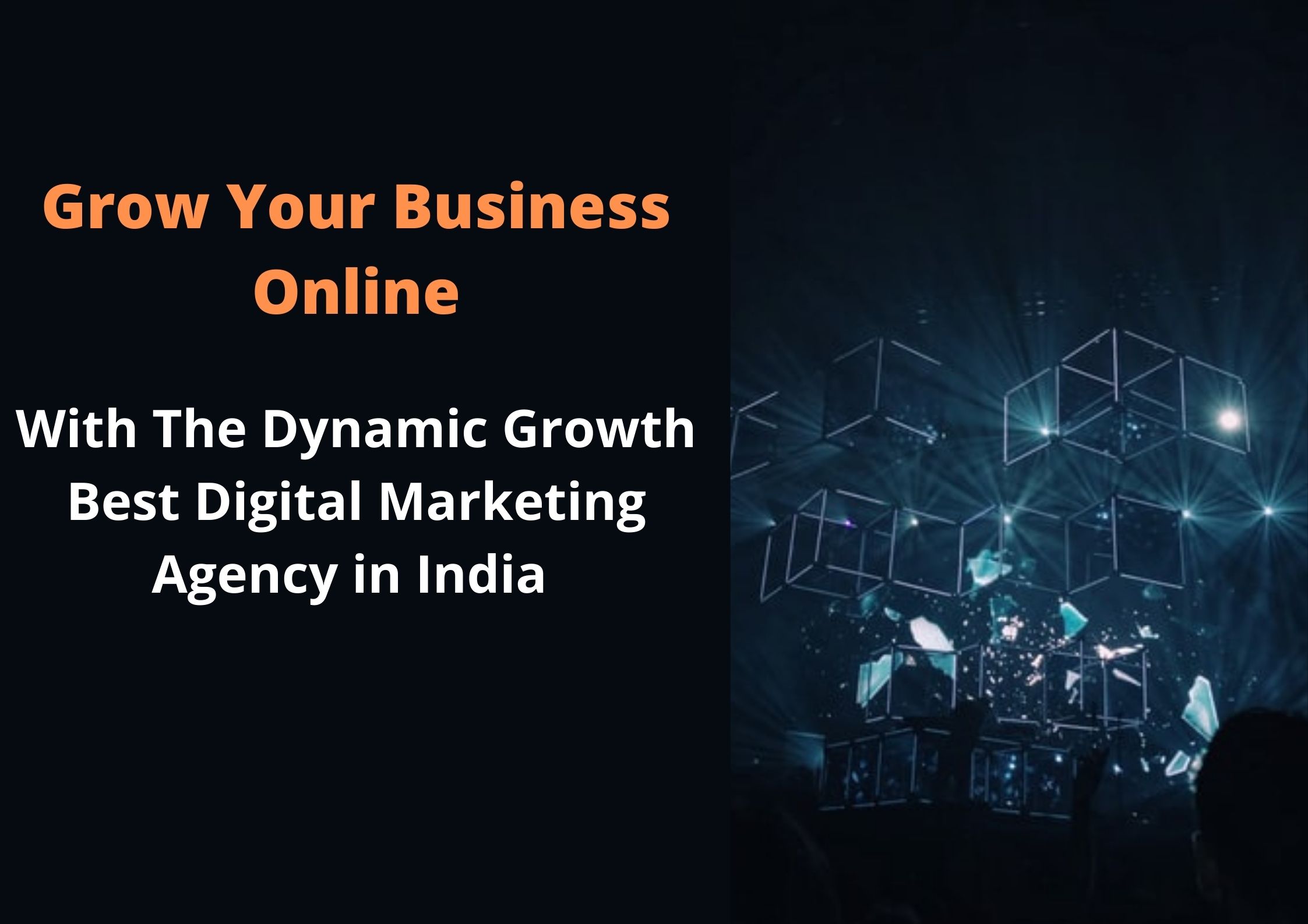 The Dynamic Growth - Digital Marketing Agency